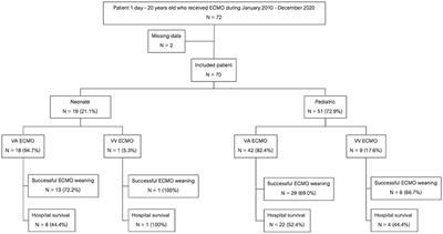 Clinical Characteristics and Outcomes of Children With Extracorporeal Membrane Oxygenation in a Developing Country: An 11-Year Single-Center Experience